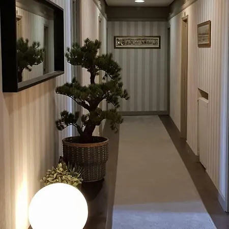 El Valles 2 Estrellas * 布里维斯卡