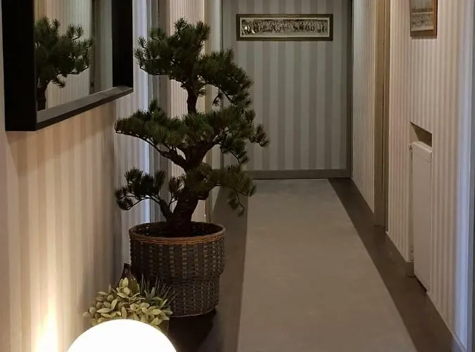 El Valles 2 Estrellas * Briviesca